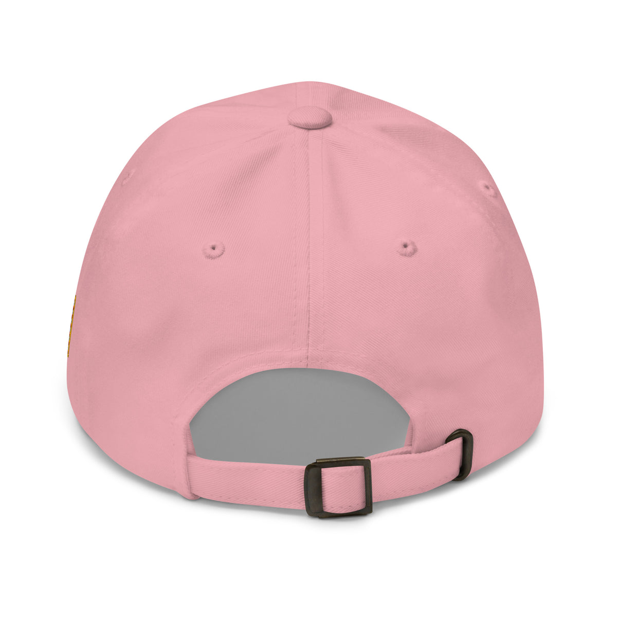 Back view of Pink low-profile dad hat in the I Am the People collection