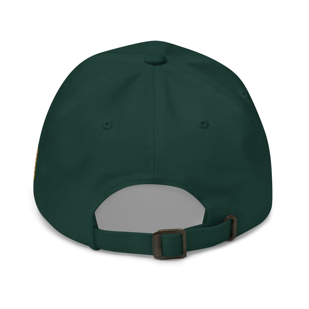 Spruce dad hat, back view of Black and White American Flag Dad Hat